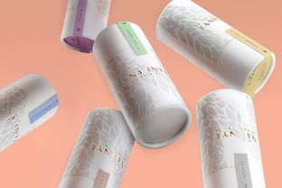 日用品包裝與廚具衛具批發 現代生活中的商業機遇