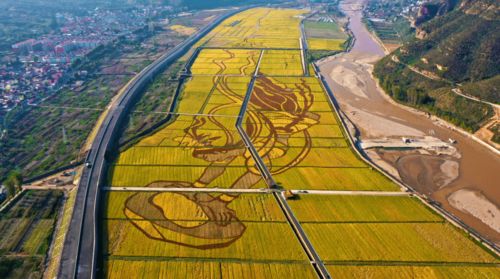 政府工作報(bào)告解讀 旅游景點(diǎn)建設(shè)與運(yùn)營(yíng)的創(chuàng)新路徑與發(fā)展趨勢(shì)